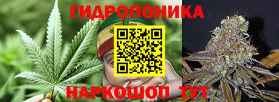 PSILOCYBIN Обнинск