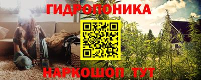 PSILOCYBIN Обнинск