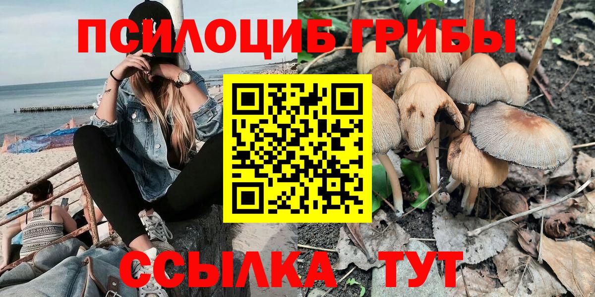 Узловая  Псилоцибиновые грибы Psilocybine cubensis  Вход с VPN 